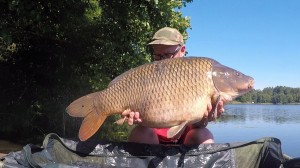 Dębowy 08. 18kg