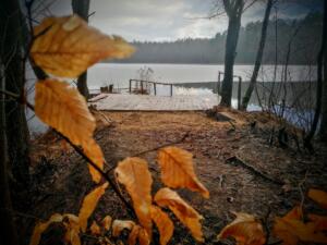 IMG 20210316 171401~2