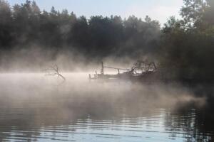 IMG 4494 (1)