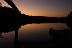 IMG 5553