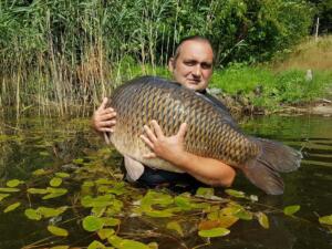 Karp 25Kg Smolno