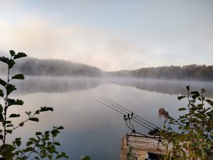 mgła na bobrowym