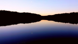 DSCF2256   